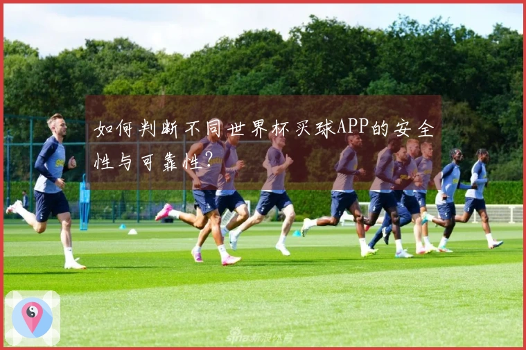 如何判断不同世界杯买球APP的安全性与可靠性？