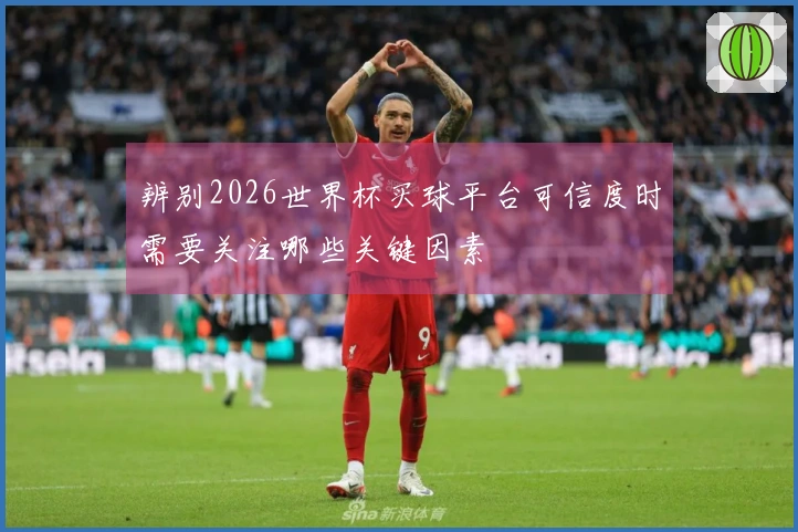 辨别2026世界杯买球平台可信度时需要关注哪些关键因素