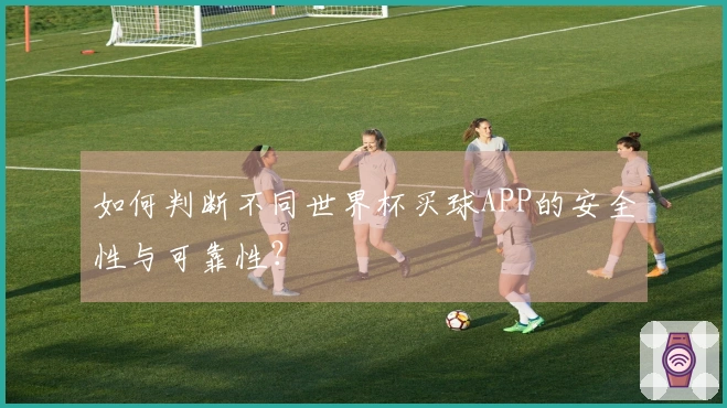 如何判断不同世界杯买球APP的安全性与可靠性?