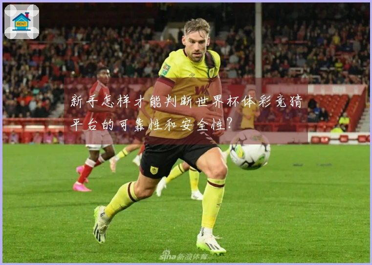 新手怎样才能判断世界杯体彩竞猜平台的可靠性和安全性?