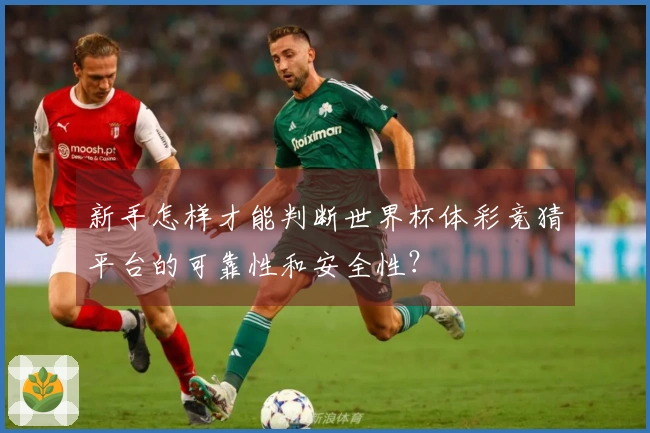新手怎样才能判断世界杯体彩竞猜平台的可靠性和安全性？